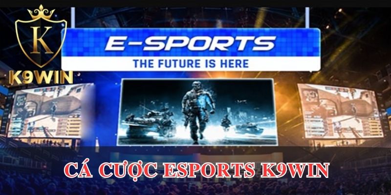 Cá Cược Esports K9win - Đặt Cược Nhanh, Nhận Thưởng Khủng